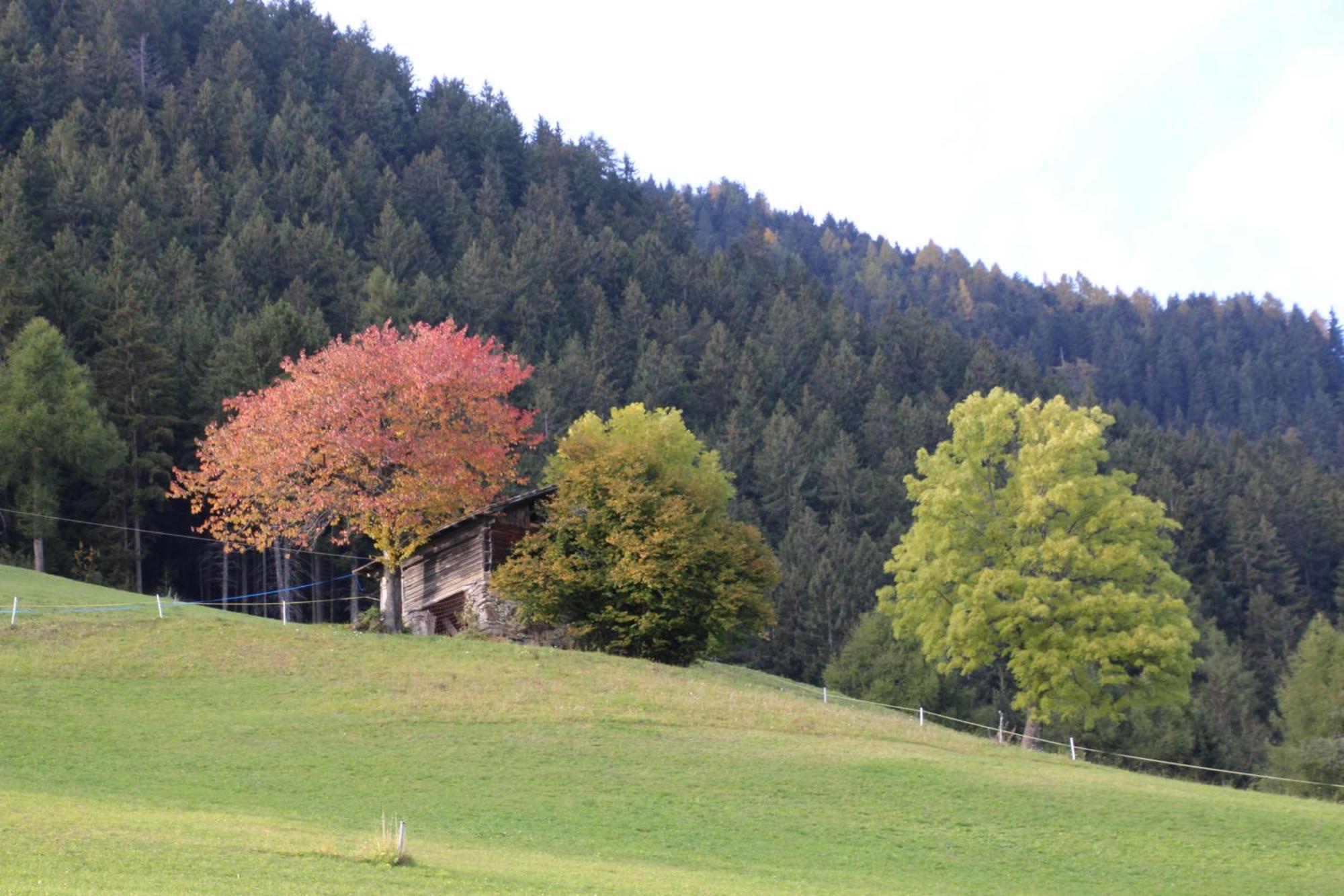 Gasthof Walde Hotel Rifiano Exterior foto